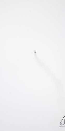 2013 Suche 29062013 Michal